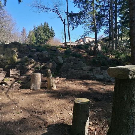 La Fortance Paradis Naturel - Proche De La Ville Planfoy 外观 照片