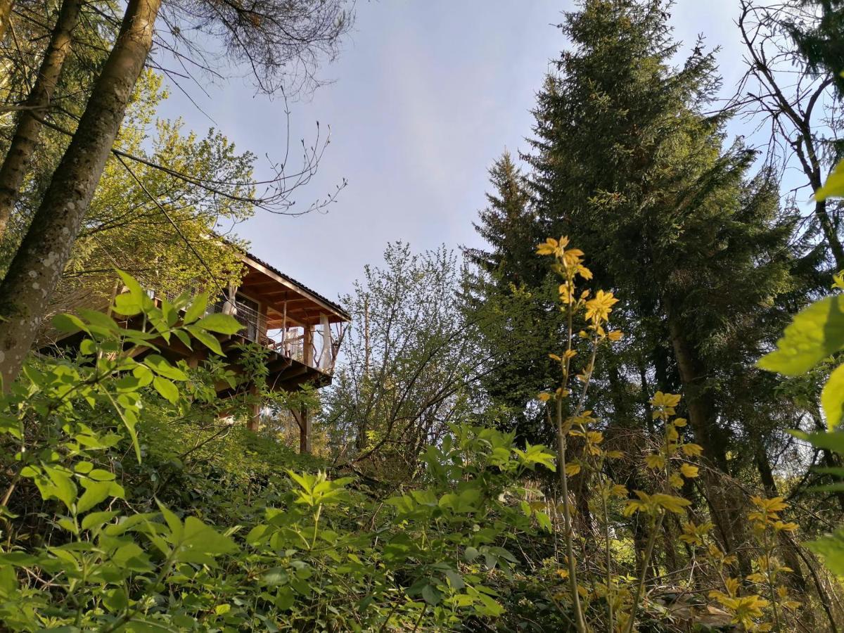 La Fortance Paradis Naturel - Proche De La Ville Planfoy 外观 照片