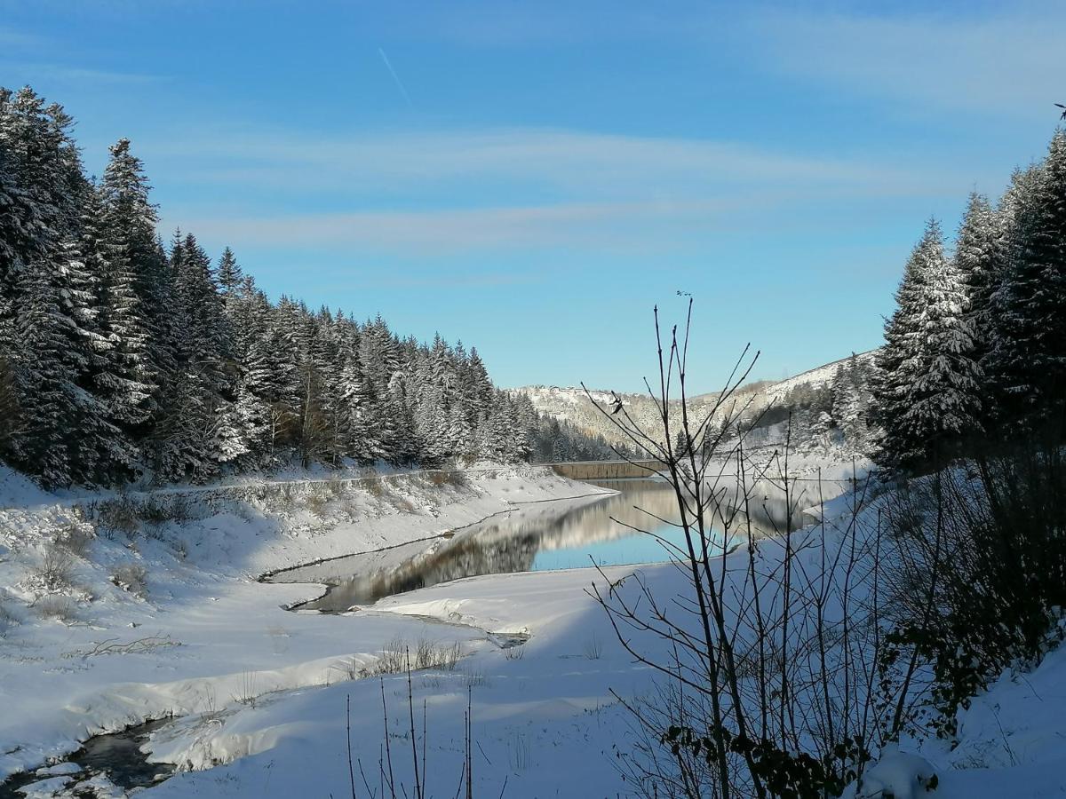 La Fortance Paradis Naturel - Proche De La Ville Planfoy 外观 照片