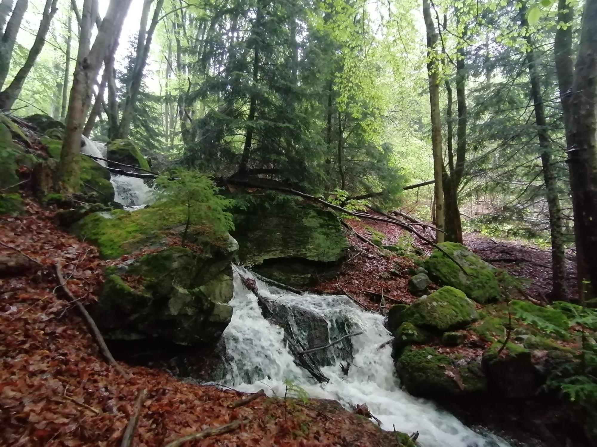 La Fortance Paradis Naturel - Proche De La Ville Planfoy 外观 照片