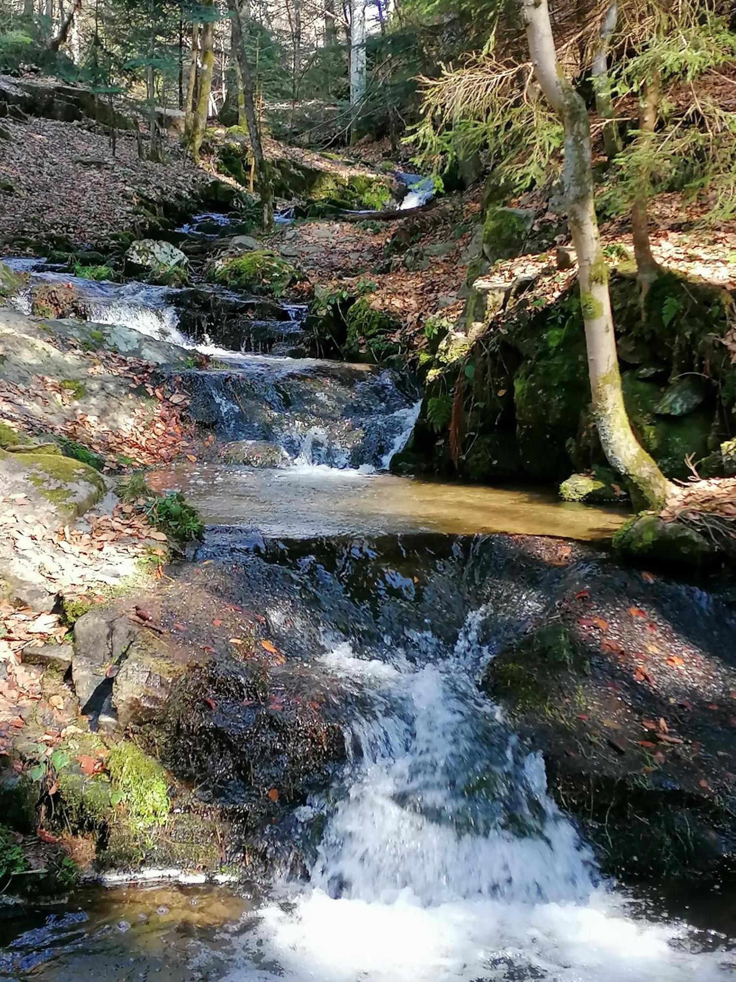 La Fortance Paradis Naturel - Proche De La Ville Planfoy 外观 照片