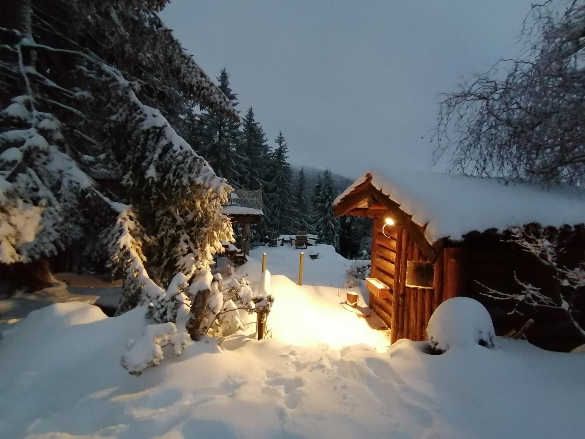 La Fortance Paradis Naturel - Proche De La Ville Planfoy 外观 照片