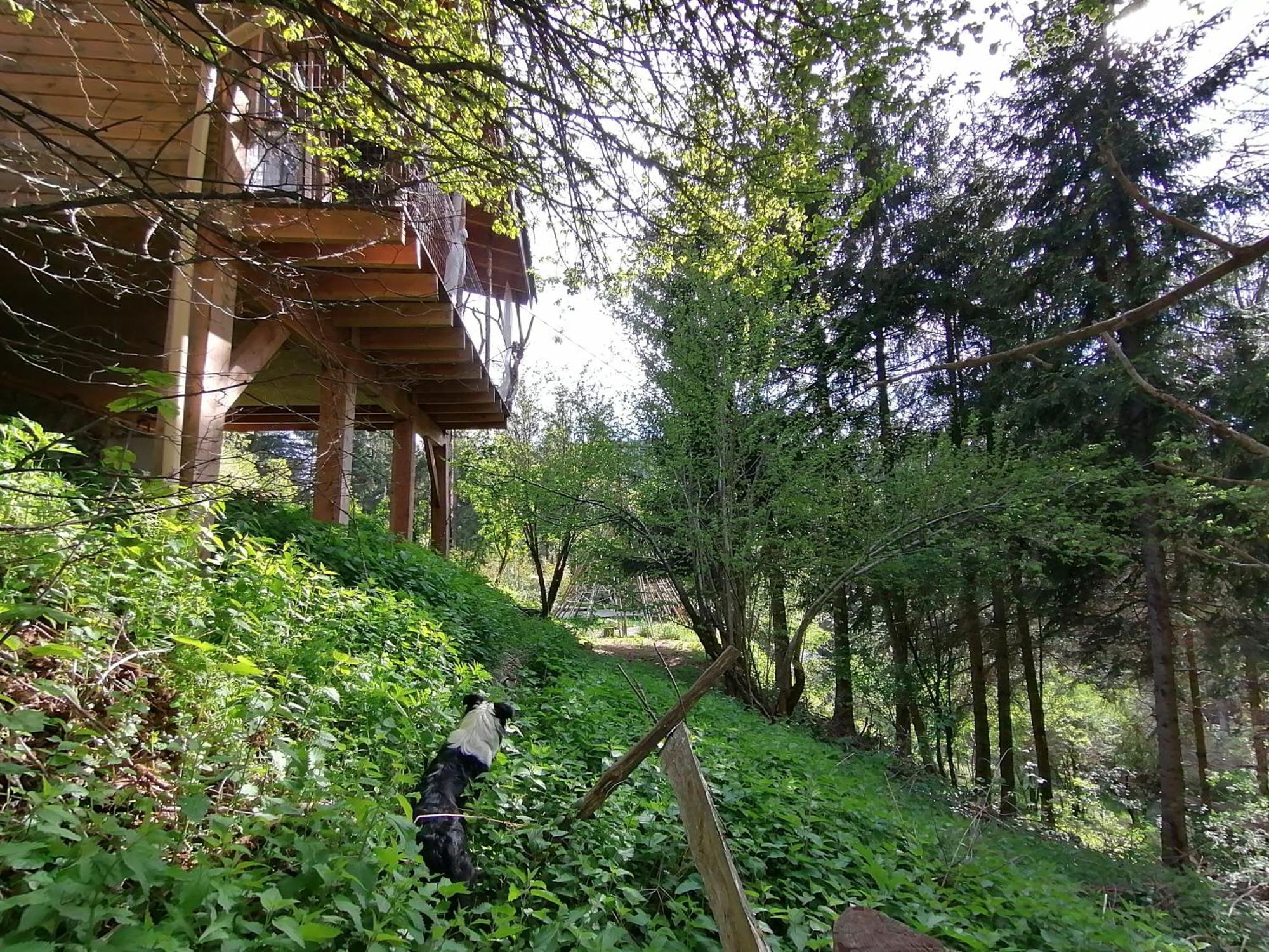 La Fortance Paradis Naturel - Proche De La Ville Planfoy 客房 照片