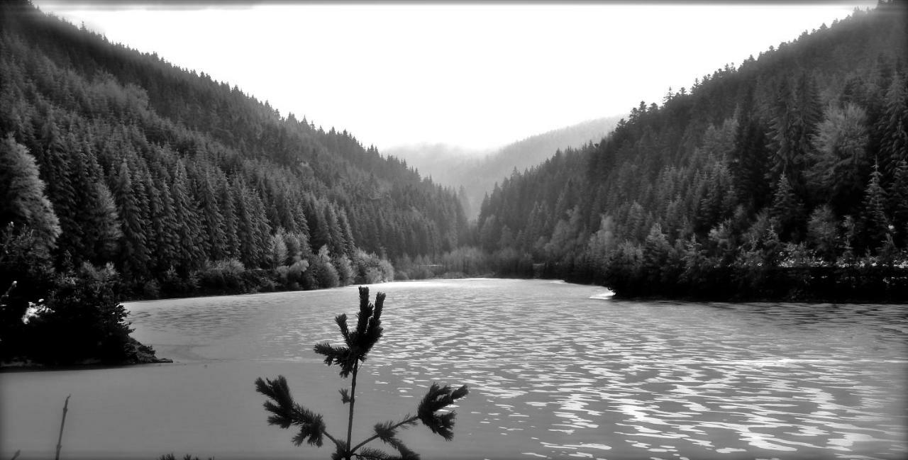 La Fortance Paradis Naturel - Proche De La Ville Planfoy 外观 照片