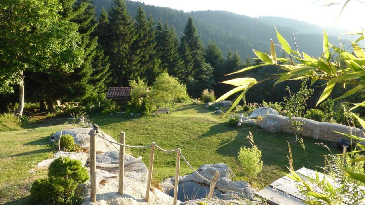 La Fortance Paradis Naturel - Proche De La Ville Planfoy 外观 照片